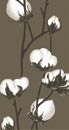 cottonflower_brun.jpg