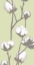 cottonflower_grn.jpg