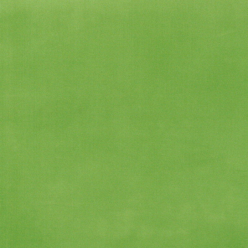 Ernst Textil French Velvet Sammetstyg Ljusgrön