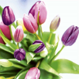 Interiörhuset Spring Bouquet Tulips Lunchservett 20-Pack