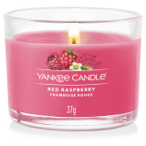 Yankee Candle Filled Votive Yankee Candle Red Raspberry