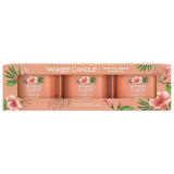 Filled Votive Yankee Candle Tropical Breeze 3-pack