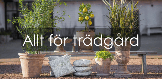Allt för trädgård
