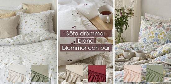 sota-drommar